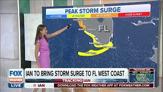 Hurricane Ian: From Tampa To Bonita Springs Could See Up To 9 Feet Of Storm Surge