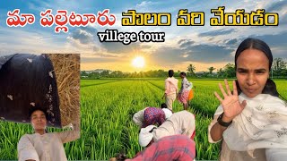 మా పల్లెటూరు||మా పొలం లో వరి వేస్తునము||Village tour||పంట పొలాలు||village life style||telugu vlog