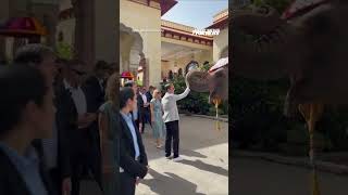 MASSIVE elephant greets Marco Rubio ahead of India meeting #shorts #us #news #rubio #elephant #india