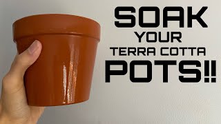 Why you Should Start Soaking Clay Pots Before Potting || How to Soak Terra Cotta Pots for Planting!