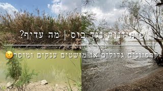 דייג - קרפיונים גדולים~פיתיונות או מושטים ענקים ומוסר~בוס | פיתיונות נגד בוס~סוער נגד חמסין.