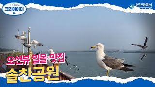 인천여름 ㅣ 솔찬공원 ㅣ #2021 인천미디어크리에이터