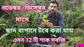 নভেম্বর -ডিসেম্বর মাসে ছাদ বাগানে টবে করা যায় এমন 12 টি শাক সবজি