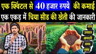 एक एकड़ चिया सीड की खेती में लागत, आमदनी और प्रॉफिट की पूरी जानकारी  | Chia Seeds Farming In India