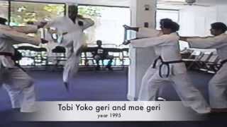Tobi Geri, Jumping kick of martial arts