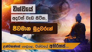 විශ්වයේ අදටත් වැඩ සිටින බුදුවරුන්... | Niwan Dakimu