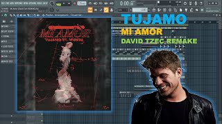 'Mi Amor (feat. Muntu)' By Tujamo | FL Studio 20 Remake/ Free Download ***VOCAL FREE***