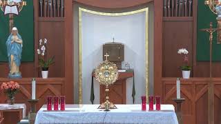 LFP St. Dismas Site: Sat. November 9, 2024 - Mass, Rosary, and Adoration