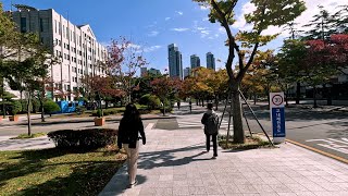 부경대 가을 캠퍼스 달리기 / 3km 달리기 / 마라톤 / running / 1인칭 시점