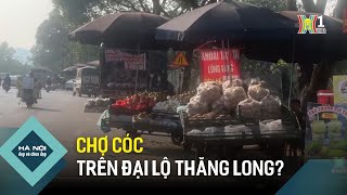 Chợ cóc trên Đại lộ Thăng Long? | Hà Nội đẹp và chưa đẹp