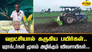 வறட்சியால் கருகிய பயிர்கள்.. டிராக்டர்கள் மூலம் அழிக்கும் விவசாயிகள்... | Perambur | Jaya plus