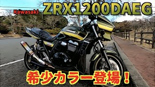 珍しいカラーのダエグ登場‼️なかなか渋いじゃん👍Kawasaki ZRX1200DAEG〜PRIDEチャンネルvol.255