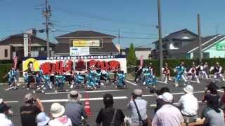 総踊り「はじまりはしまね」　～2014斐川だんだんよさこい祭(ゆめタウン斐川)