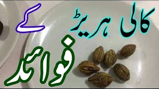 Hareer K Fawaid  Hareer Ap Ki Sehat Ki Muhafiz کالی ہریڑ کے فوایٗد by Al Moalij In Urdu Hindi youtub