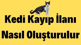 Kedi Kayıp İlanı Nasıl Oluşturulur