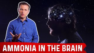 Ammonia In The Brain – Dr. Berg