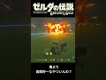 集団ストーカーに狙われる動画投稿者 shorts ゼルダの伝説 ブレスオブザワイルド