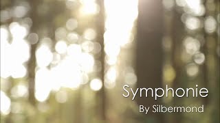 【Moodsic】德國銀月樂隊Silbermond - Symphonie中德字幕MV