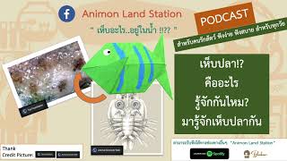 เห็บอะไร อยู่ในน้ำ เห็บปลา!? Animon Land Station