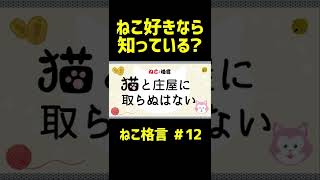 【 ねこ格言 】猫と庄屋に取らぬはない【 慣用句 】教えたくなるネコ雑学 #shorts