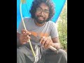 meking flute with pappya leaf ഓമതണ്ട് കൊണ്ട് ഒരു പുല്ലാംകുഴൽ.