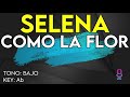 Selena - Como La Flor - Karaoke Instrumental - Bajo