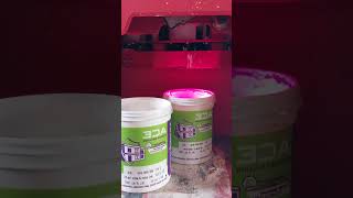 7986 marigold asian paind  colur #paint#minivlog #youtubeshorts #video #shorts #shortvideo