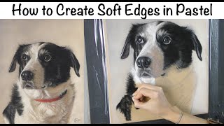 How to Create Soft Edges on Fur in Pastel