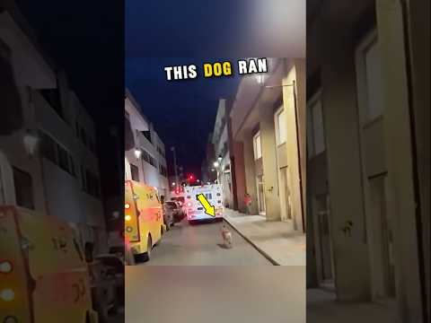 Does an ambulance have to take you to the closest hospital?