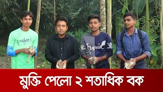 নাটোরের গুরুদাসপুরে শিকারীর হাত থেকে রক্ষা পেলো দুই শতাধিক বক | Bird_Rescue