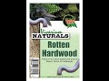 Vivarium Naturals - Premium Rotten Hardwood For Millipedes - thedefiantforest.com