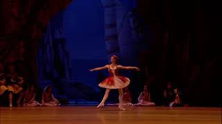 LE CORSAIRE - Medora Variation Act 2 (Ekaterina Krysanova - Bolshoi Ballet)