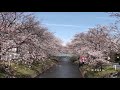 名鉄各務原線　高田橋　2010 03撮影