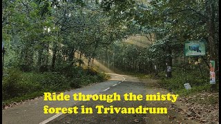 SUNRISE RIDE TO PEPPARA #wildlife #krishwanderlust #forestroute #trivandrum #offbeat #mistyroad