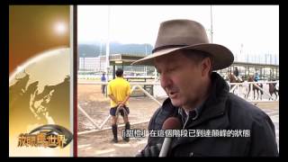 [2012 Mercedes-Benz 香港打吡大賽] 放眼馬世界 -- 論戰系列 - 香港打吡特輯 #1