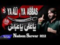 Nadeem Sarwar | Ya Ali Ya Abbas | 2012
