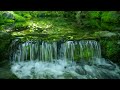 relaxing flowing green stream w instrumental music for sleep focus study work or relaxation