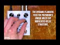 musicmaker presents meris polymoon delay