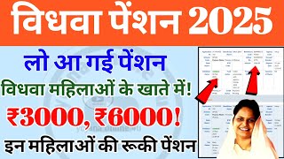 लो आ गई विधवा पेंशन! इन लाभार्थियों की पेंशन रिजेक्ट! pension | widhva pension | reject pension