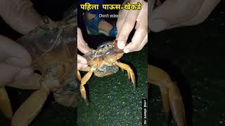 पहिला पाऊस आणि खेकडे पकडायची मज्जा🦀 #viral #food #public#trending #kokan #viralshort #rain#खेकडे