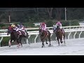 第23回兵庫ゴールドトロフィー（jpnlll 1400m）は単勝2番人気のjra⑨サンライズホーク（セン4 父リオンディーズ）が＋20キロも何のその、2番手追走から抜け出し全てダートの6勝目！重賞v2