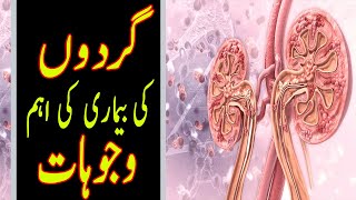 Kidneys Failure l Signs and Causes of Kidney Failure l Symptoms of Kidney Disease