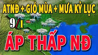 Tin bão Mới Nhất | Dự báo thời tiết hôm nay ngày mai 9/1 | dự báo thời tiết 3 ngày tới#thoitiet