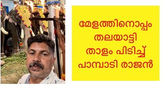 Pampadi Rajan മേളത്തിനൊപ്പം താളം പിടിച്ച് ചെവിയടിച്ച്@VMPRADEEP Kerala Elephant