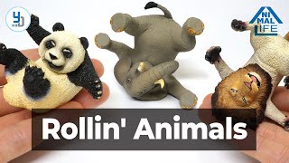 Rollin' Animals / Rolling Your Eyes / ANIMAL LIFE / Asakuma Toshio