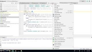 Python Lab Assignment 1