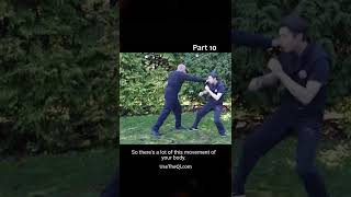 Wing Chun vs Mantis Kung Fu Techniques - Part 10 #shorts