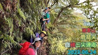 白雞山-雞罩山-鹿窟尖 三山(尖)連走 2023.06.24