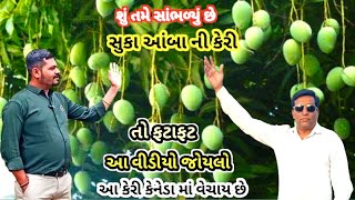 | શું તમે સાંભળ્યું છે | સૂકા આંબા ની કેરી તો ફટાફટ આ વીડીયો જોયલો આ કેરી કેનેડા વેચાય છે કાંત્રોડી