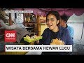 Sehari Berwisata di Lembang